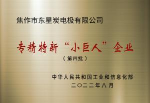 國家級專(zhuān)精特新小巨人企業(yè)